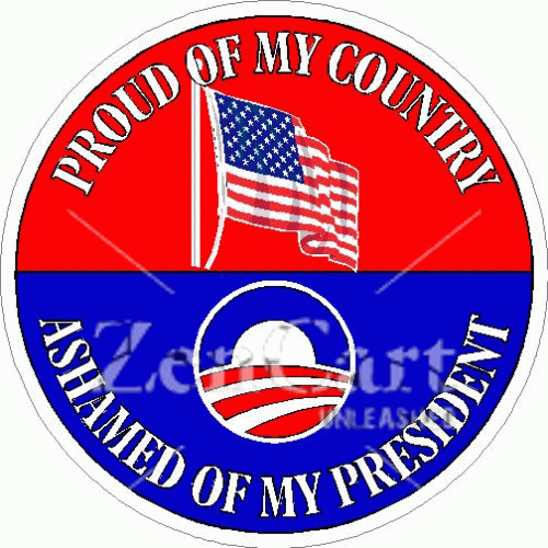 Proud Of My Country Ashamed Of My President Decal