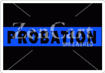 Thin Blue Line Probation Decal