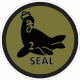 Seal Team 2 Subdued Decal