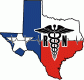 Texas State silhouette with state flag RN