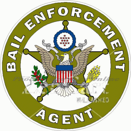 Bail Enforcement Agent Decal