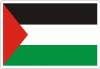 Palestine Flag Decal
