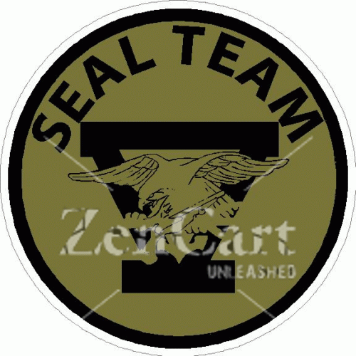 Seal Team 5 Subdued Decal