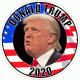 Donald Trump 2020 Flag Decal