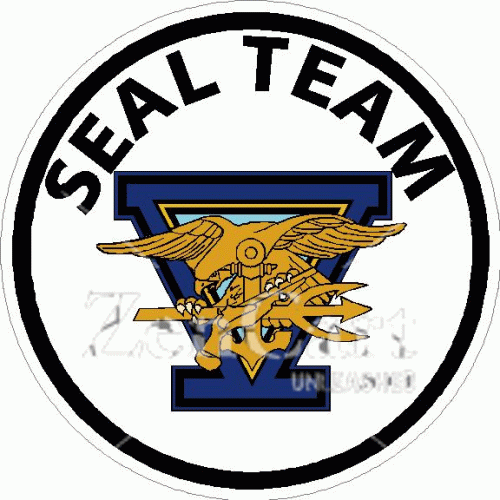 Seal Team 5 Decal