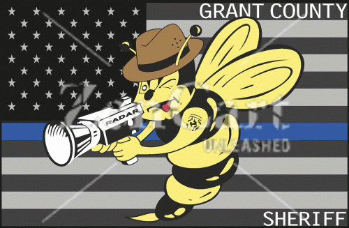 Radar Bee/Flag Grant County