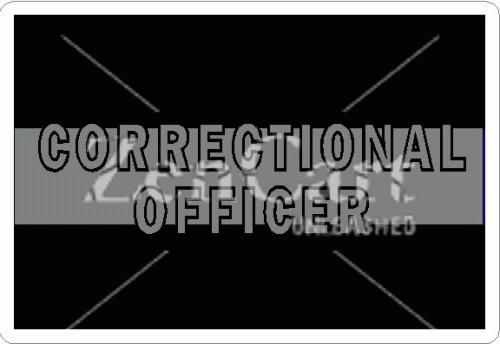 Thin Silver Line Correctional Officer Decal
