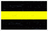 Thin Yellow / Gold Line Distressed Decal