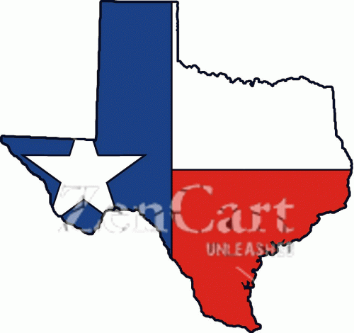 Texas state silhouette/state flag