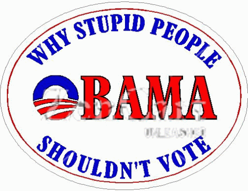 OBAMA Why Stupid People Shouldn\'t Vote Decal