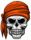 Pirate Skull Decal