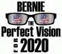 Bernie, the perfect vision for 2020 USA Flag Leaf