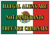 Illegal Ailens Are Not Immigrants Decal