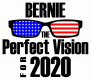 Bernie, the perfect vision for 2020 USA Flag