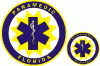 Florida Paramedic Decal