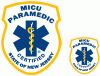New Jersey Paramedic Decal