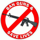Ban Guns & Save Lives Decal
